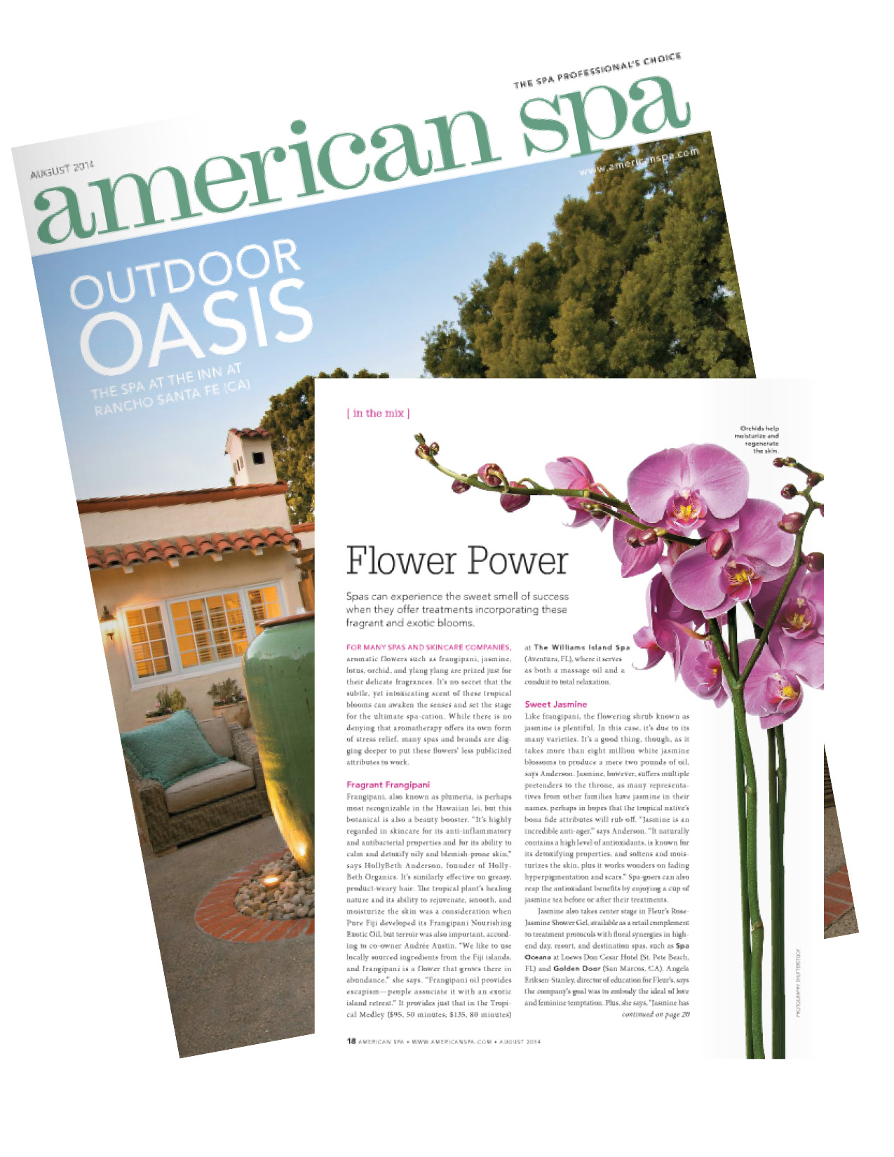 American Spa Magazine