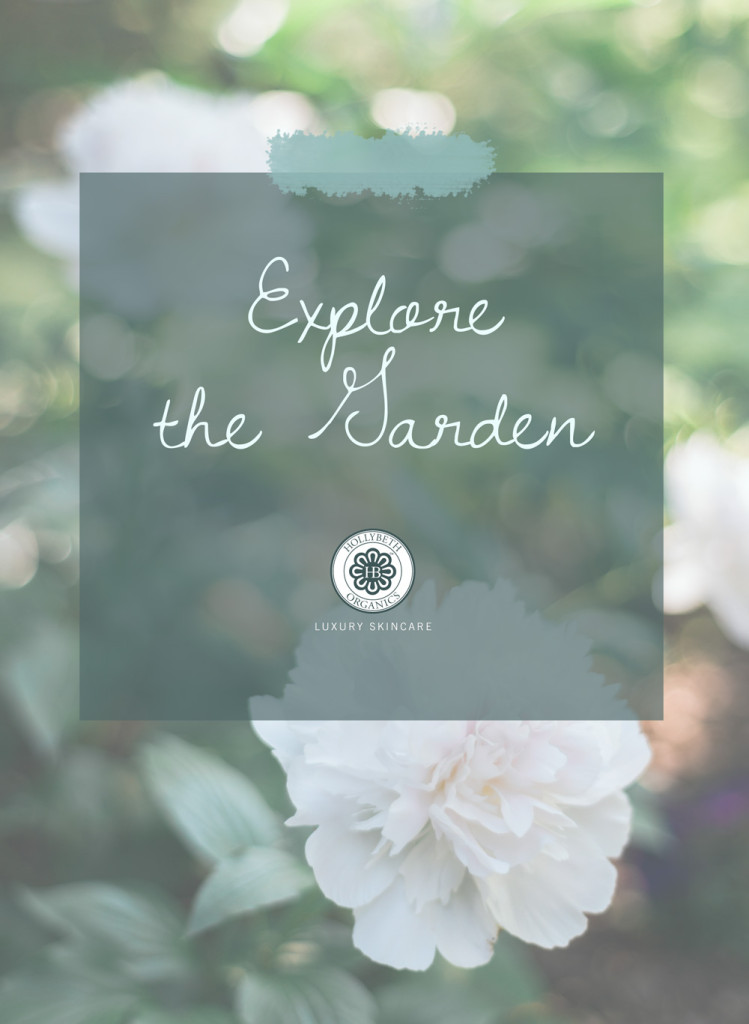 explore the garden