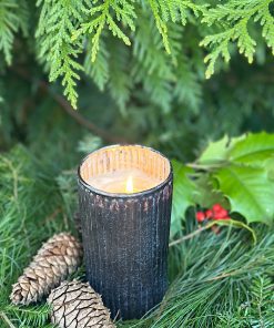 winter trees candle