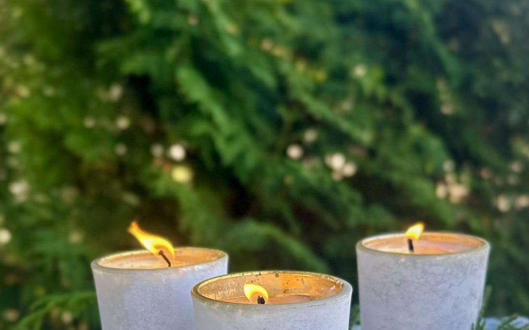 Black Pepper Cardamom Cedarwood Votive Candle